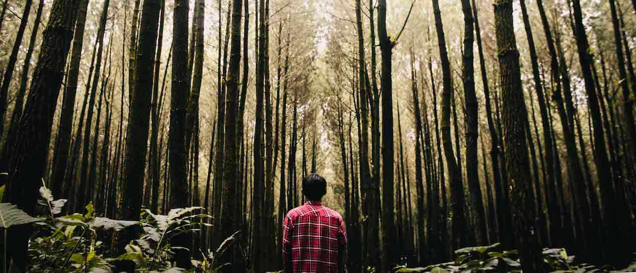 How To Be A Good Park Steward (Hint: It’s Not Rocket Science)