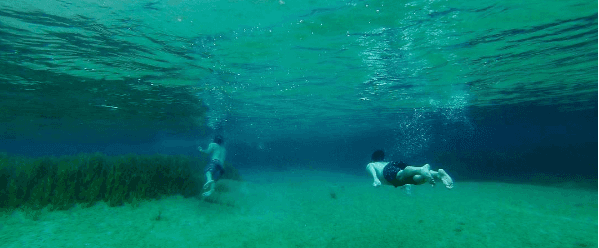 Adventurous Host Michael Johnson in Orlando, Florida