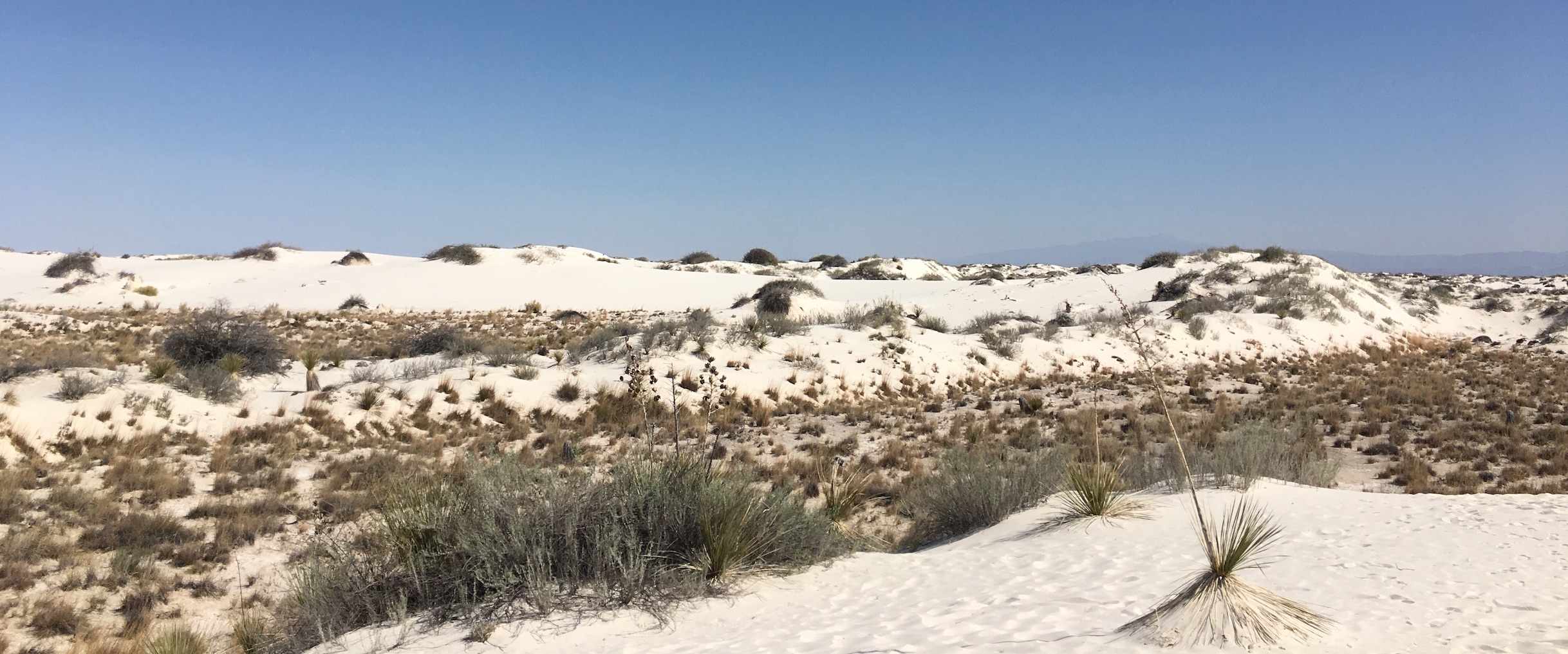 A Visit to White Sands National Monument
