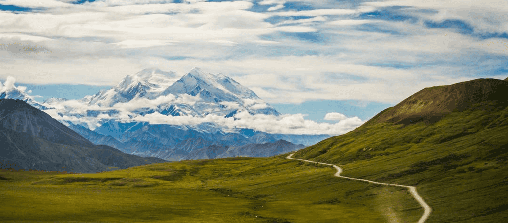 An RVers Guide To Denali National Park