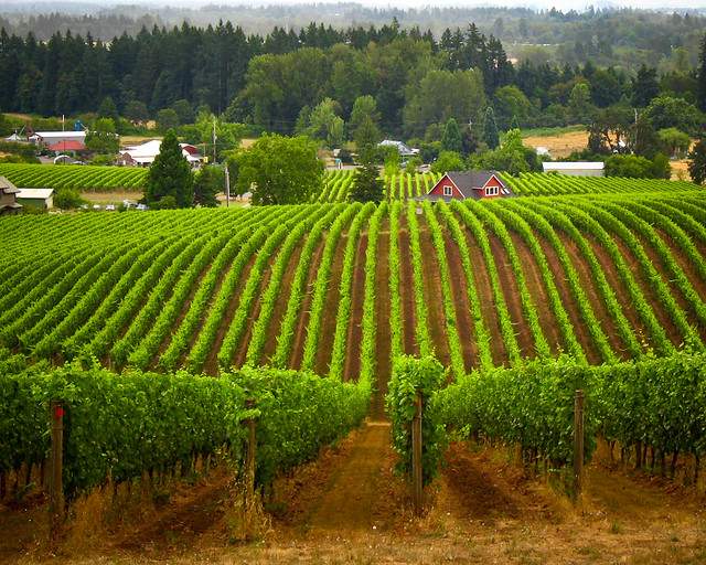 Worth The Trip: 6 U.S. Towns Wine Connoisseurs Will Love