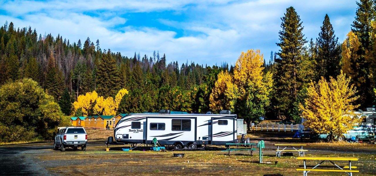 How to support Yosemite National Park from a distance during the coronavirus