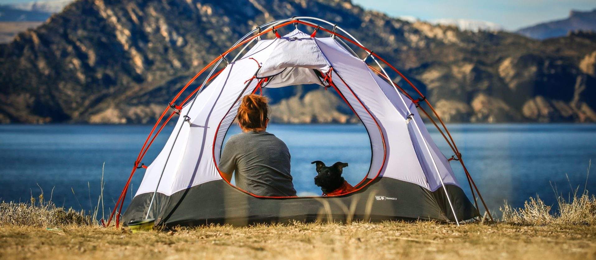 How to Make Your RV Pet Friendly (and Why You Should)